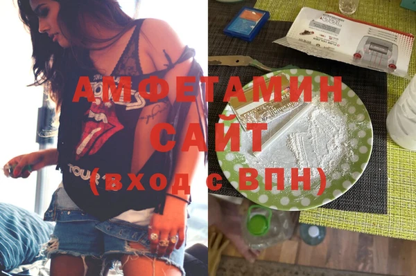 сатива Новокубанск