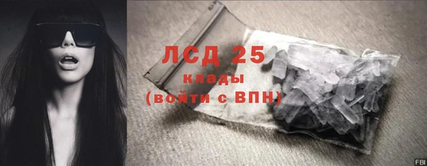сатива Новокубанск