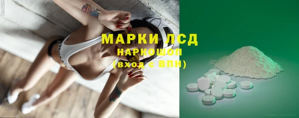 тгк Новозыбков