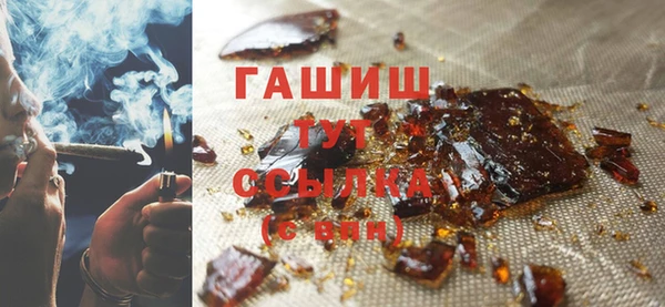 сатива Новокубанск