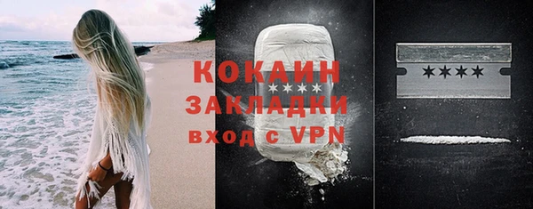 сатива Новокубанск