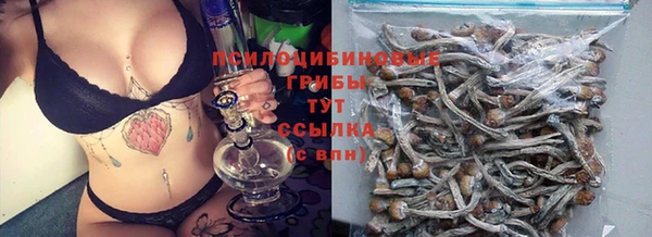 прущие крисы Няндома