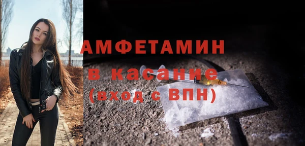 сатива Новокубанск