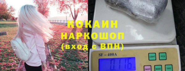 сатива Новокубанск