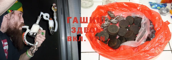 сатива Новокубанск