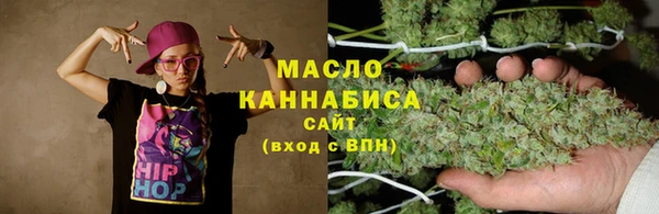 сатива Новокубанск
