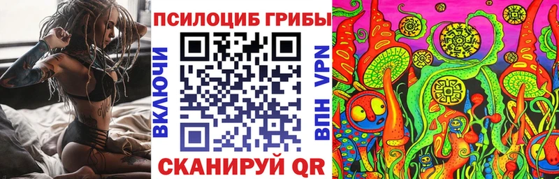 мориарти клад  Похвистнево  Псилоцибиновые грибы Psilocybe  KRAKEN  