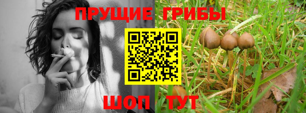 Галлюциногенные грибы прущие грибы Похвистнево