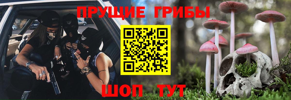 купить наркотики сайты  Вход с VPN  Похвистнево  Псилоцибиновые грибы Magic Shrooms 